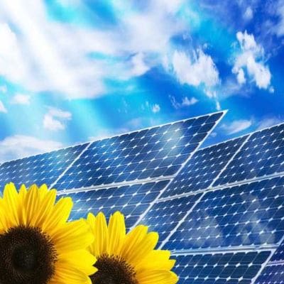 Solar Panels for Business